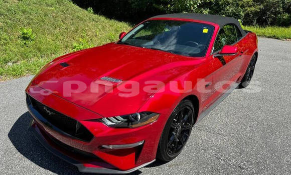 Buy Used Ford Mustang Red Car in Madang in Madang Buy Used Ford Mustang Red Car in Madang in Madang