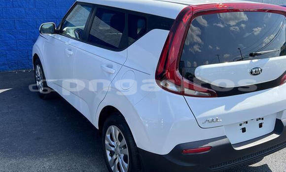 Buy Used Kia Soul White Car in Madang in Madang Buy Used Kia Soul White Car in Madang in Madang