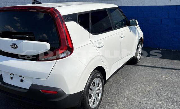 Buy Used Kia Soul White Car in Madang in Madang Buy Used Kia Soul White Car in Madang in Madang
