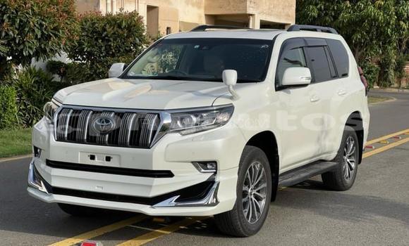 Buy Used Toyota Land Cruiser Prado White Car in Port Moresby in National Capital District
