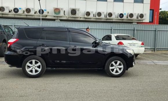 Buy Used Toyota Vanguard Other Car in Ambok in Madang