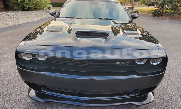 Buy Used Dodge Challenger Black Car in Port Moresby in National Capital District Buy Used Dodge Challenger Black Car in Port Moresby in National Capital District