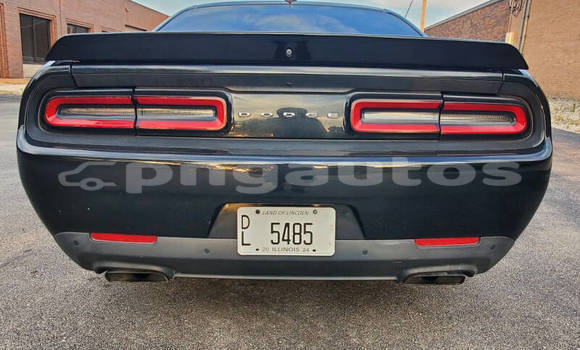 Buy Used Dodge Challenger Black Car in Port Moresby in National Capital District Buy Used Dodge Challenger Black Car in Port Moresby in National Capital District