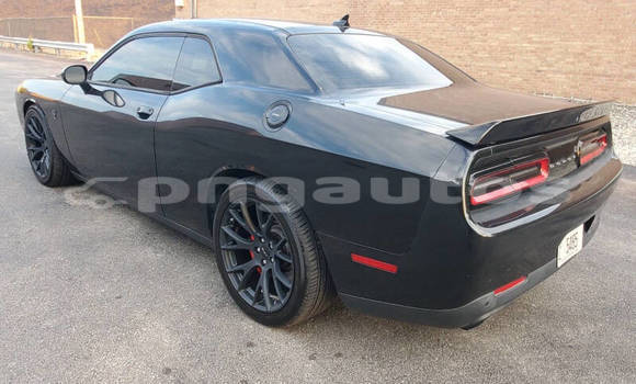 Buy Used Dodge Challenger Black Car in Port Moresby in National Capital District Buy Used Dodge Challenger Black Car in Port Moresby in National Capital District