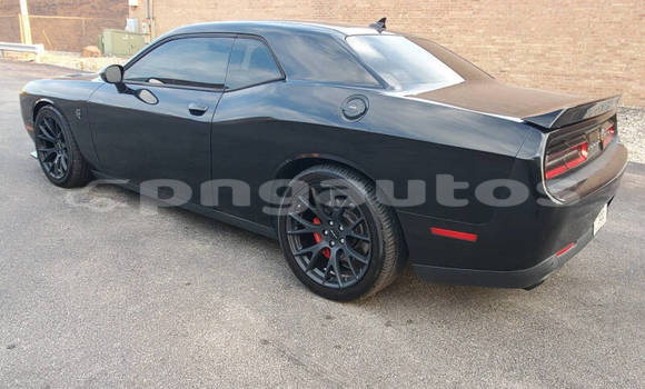 Buy Used Dodge Challenger Black Car in Port Moresby in National Capital District Buy Used Dodge Challenger Black Car in Port Moresby in National Capital District