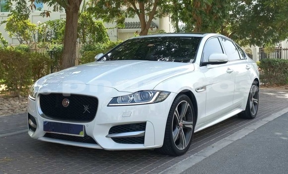 Buy Used Jaguar XF White Car in Mount Hagen in Western Highlands