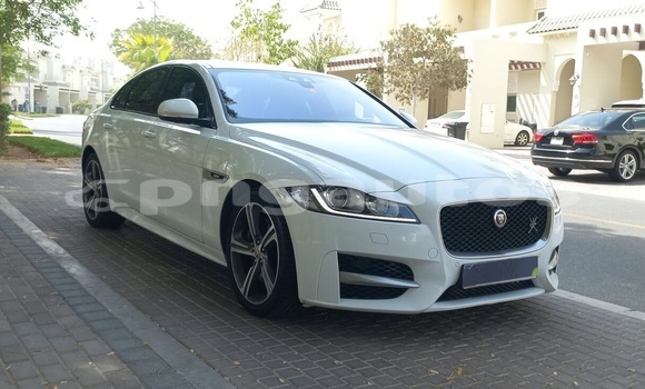 Buy Used Jaguar XF White Car in Mount Hagen in Western Highlands Buy Used Jaguar XF White Car in Mount Hagen in Western Highlands