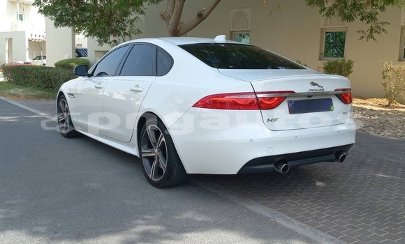 Buy Used Jaguar XF White Car in Mount Hagen in Western Highlands Buy Used Jaguar XF White Car in Mount Hagen in Western Highlands