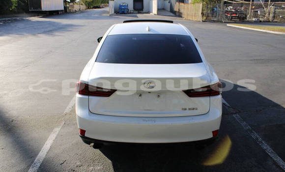 Buy Used Lexus IS White Car in Lae in Morobe Buy Used Lexus IS White Car in Lae in Morobe