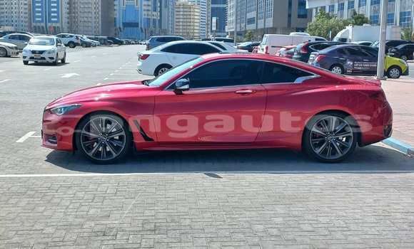 Buy Used Infiniti Q60 Red Car in Gubam in Western (Fly) Buy Used Infiniti Q60 Red Car in Gubam in Western (Fly)