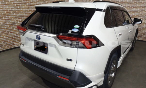Buy Used Toyota RAV4 White Car in Arufa in Western Highlands Buy Used Toyota RAV4 White Car in Arufa in Western Highlands