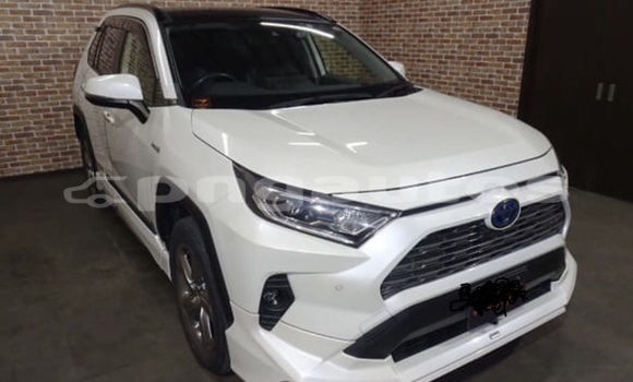 Acheter Occasion Voiture Toyota RAV4 Blanc à Port Moresby, National Capital District Acheter Occasion Voiture Toyota RAV4 Blanc à Port Moresby, National Capital District