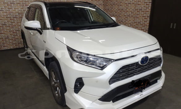 Acheter Occasion Voiture Toyota RAV4 Blanc à Port Moresby, National Capital District Acheter Occasion Voiture Toyota RAV4 Blanc à Port Moresby, National Capital District