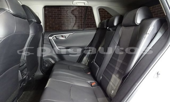 Acheter Occasion Voiture Toyota RAV4 Blanc à Port Moresby, National Capital District Acheter Occasion Voiture Toyota RAV4 Blanc à Port Moresby, National Capital District