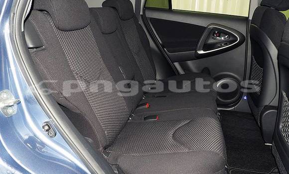 Buy Used Toyota RAV4 Other Car in Port Moresby in National Capital District Buy Used Toyota RAV4 Other Car in Port Moresby in National Capital District