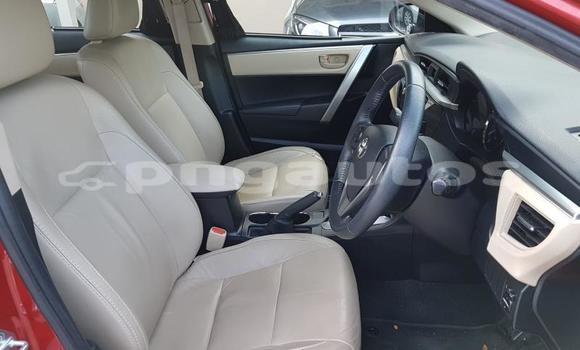 Buy Used Toyota Corolla Other Car in Port Moresby in National Capital District Buy Used Toyota Corolla Other Car in Port Moresby in National Capital District