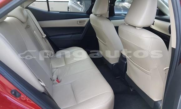 Buy Used Toyota Corolla Other Car in Port Moresby in National Capital District Buy Used Toyota Corolla Other Car in Port Moresby in National Capital District