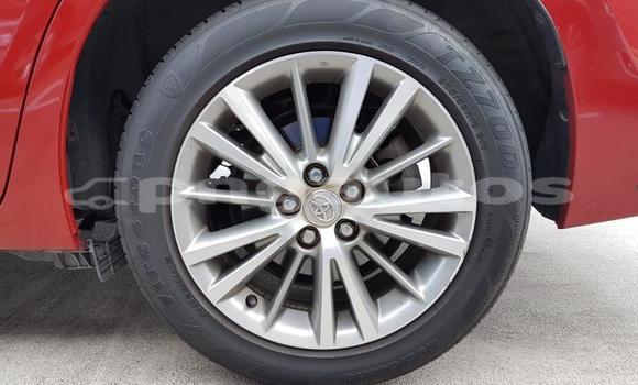 Buy Used Toyota Corolla Other Car in Port Moresby in National Capital District Buy Used Toyota Corolla Other Car in Port Moresby in National Capital District