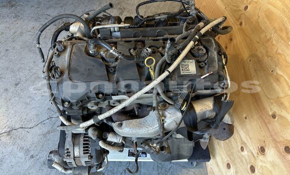 Buy FORD F150 5.0L in Angoram in East Sepik Buy FORD F150 5.0L in Angoram in East Sepik