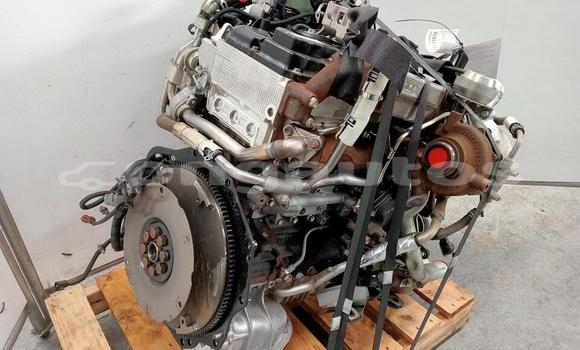 Buy ISUZU DMAX 3.0 in Eipa in Morobe Buy ISUZU DMAX 3.0 in Eipa in Morobe