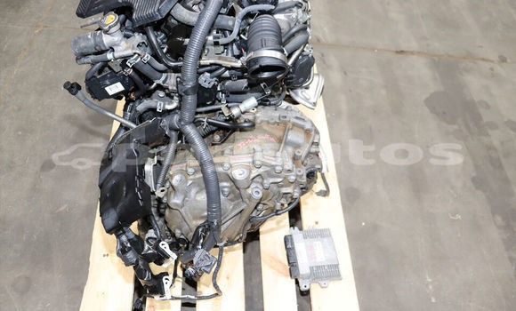 Buy Nissan Sentra Turbo in Buka Town in Autonomous Region of Bougainville Buy Nissan Sentra Turbo in Buka Town in Autonomous Region of Bougainville