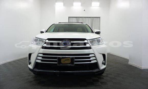 Buy Used Toyota Highlander White Car in Ambunti in East Sepik