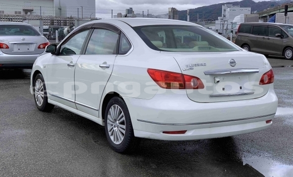 Buy Used Nissan Bluebird Sylphy White Car in Port Moresby in National Capital District Buy Used Nissan Bluebird Sylphy White Car in Port Moresby in National Capital District