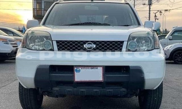 Buy Used Nissan X–Trail White Car in Lae in Morobe Buy Used Nissan X–Trail White Car in Lae in Morobe