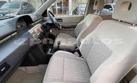 Buy Used Nissan X–Trail White Car in Lae in Morobe Buy Used Nissan X–Trail White Car in Lae in Morobe