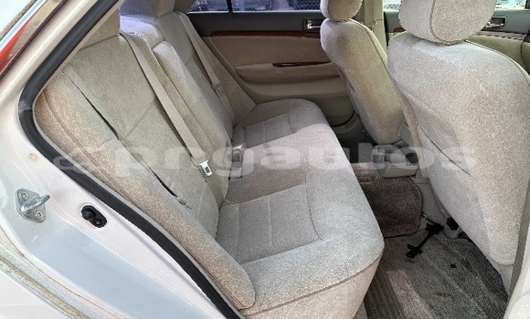 Buy Used Toyota MarkII White Car in Port Moresby in National Capital District Buy Used Toyota MarkII White Car in Port Moresby in National Capital District