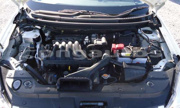 Buy Used Nissan Bluebird White Car in Port Moresby in National Capital District Buy Used Nissan Bluebird White Car in Port Moresby in National Capital District