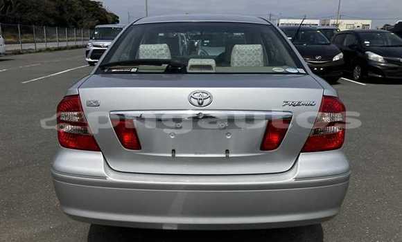 Buy Used Toyota Premio Silver Car in Goroka in Eastern Highlands Buy Used Toyota Premio Silver Car in Goroka in Eastern Highlands