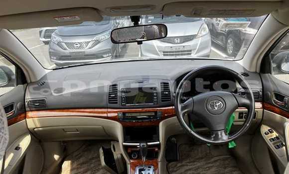 Buy Used Toyota Premio Silver Car in Goroka in Eastern Highlands Buy Used Toyota Premio Silver Car in Goroka in Eastern Highlands