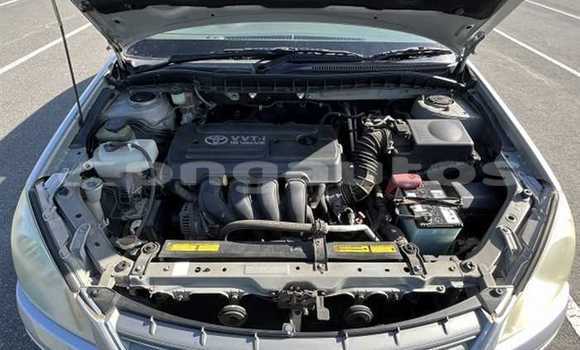 Buy Used Toyota Premio Silver Car in Goroka in Eastern Highlands Buy Used Toyota Premio Silver Car in Goroka in Eastern Highlands