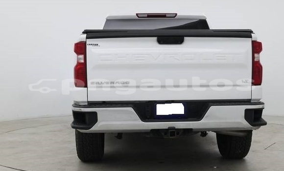 Acheter Occasion Voiture Chevrolet Silverado Blanc à Port Moresby, National Capital District Acheter Occasion Voiture Chevrolet Silverado Blanc à Port Moresby, National Capital District