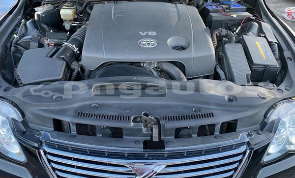 Buy Used Toyota Mark X Black Car in Port Moresby in National Capital District Buy Used Toyota Mark X Black Car in Port Moresby in National Capital District