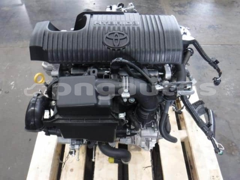 Big with watermark yyyooo