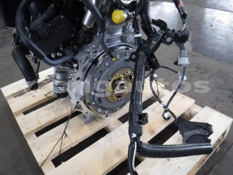 Big with watermark toyo44