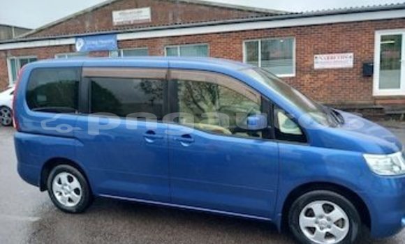 Medium with watermark img 3199