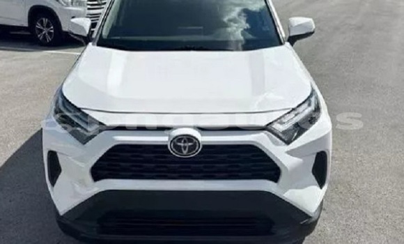 Buy Used Toyota RAV4 White Car in Ambok in Madang