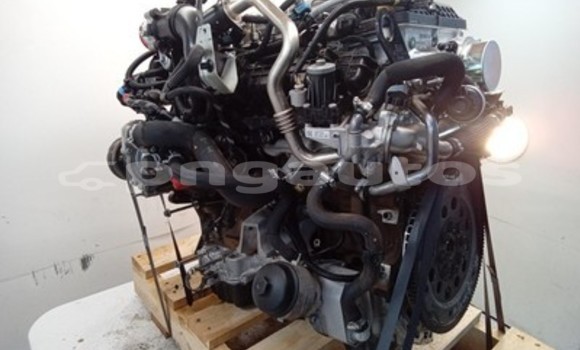 Buy Ford Ranger 3.2L Engine in Port Moresby in National Capital District Buy Ford Ranger 3.2L Engine in Port Moresby in National Capital District