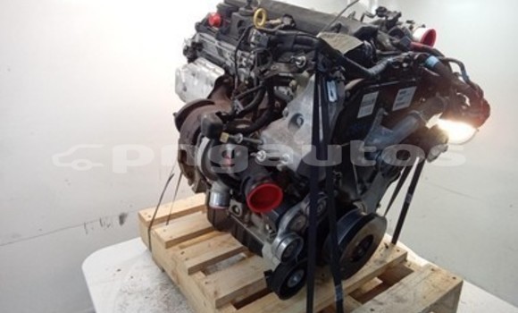 Buy Ford Ranger 3.2L Engine in Port Moresby in National Capital District Buy Ford Ranger 3.2L Engine in Port Moresby in National Capital District