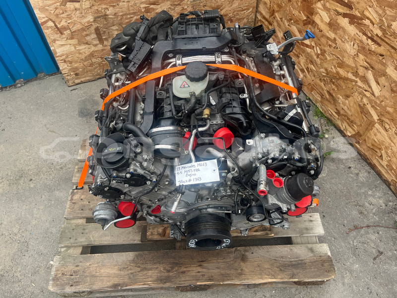 Big with watermark a