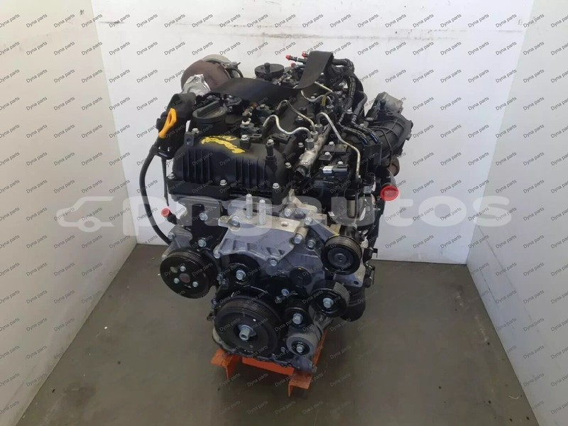 Big with watermark 1