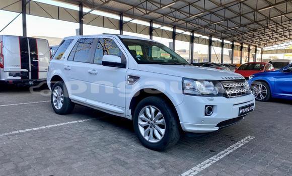 Buy Used Land Rover Freelander White Car in Port Moresby in National Capital District