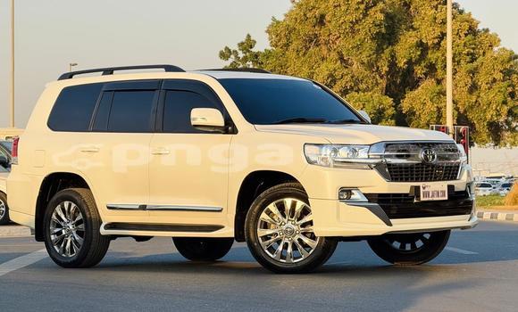 Buy Used Toyota Land Cruiser White Car in Import - Dubai in Enga