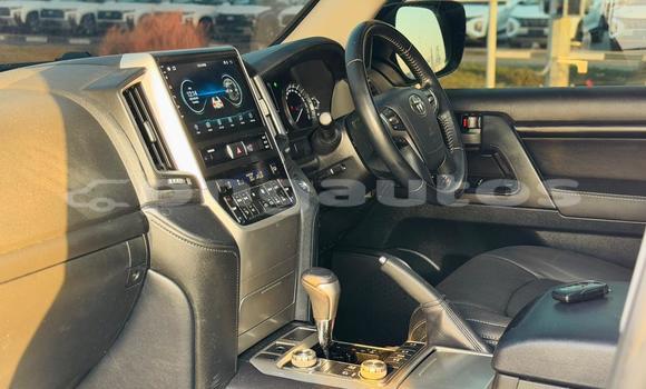 Buy Used Toyota Land Cruiser White Car in Import - Dubai in Enga Buy Used Toyota Land Cruiser White Car in Import - Dubai in Enga