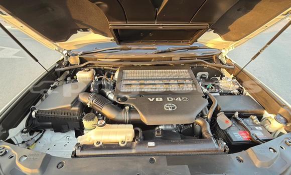 Buy Used Toyota Land Cruiser White Car in Import - Dubai in Enga Buy Used Toyota Land Cruiser White Car in Import - Dubai in Enga