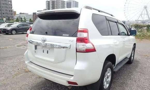 Buy Used Toyota Prado Other Car in Monara in Madang Buy Used Toyota Prado Other Car in Monara in Madang