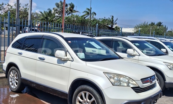 Buy Used Honda CRV White Car in Port Moresby in National Capital District